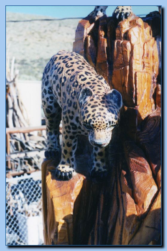 2-07 leopards-archive-0012